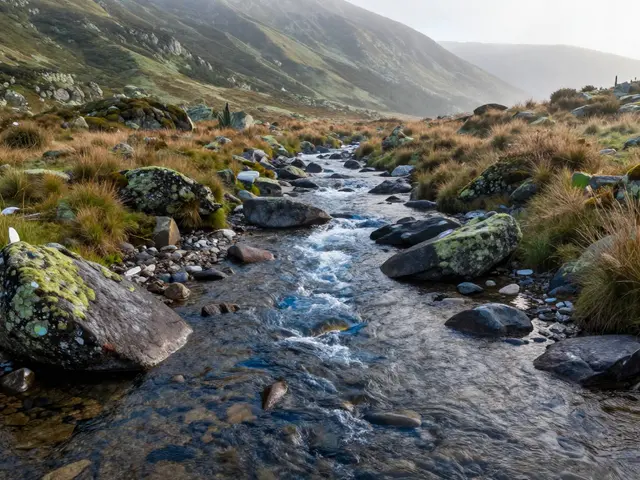 Jak teče Labe? Průběh, přítoky a skryté skutečnosti největší řeky Česka
